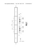 Magnetic Field Measuring Device diagram and image