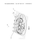 QUANTITATIVE ANALYSIS AND VISUALIZATION OF SPATIAL POINTS diagram and image