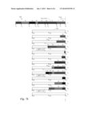 BITSTREAM PROCESSING USING COALESCED BUFFERS AND DELAYED MATCHING AND     ENHANCED MEMORY WRITES diagram and image