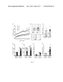 WDR13 AS A NOVEL BIOMARKER USEFUL FOR TREATING DIABETES AND CANCER diagram and image