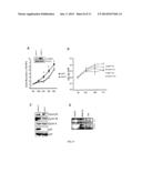 WDR13 AS A NOVEL BIOMARKER USEFUL FOR TREATING DIABETES AND CANCER diagram and image