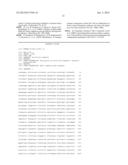 WDR13 AS A NOVEL BIOMARKER USEFUL FOR TREATING DIABETES AND CANCER diagram and image