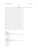 WDR13 AS A NOVEL BIOMARKER USEFUL FOR TREATING DIABETES AND CANCER diagram and image