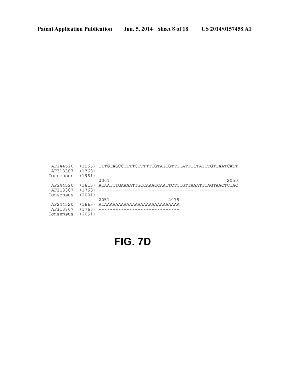 ENGINEERED ZINC FINGER PROTEINS TARGETING PLANT GENES INVOLVED IN FATTY     ACID BIOSYNTHESIS - diagram, schematic, and image 09