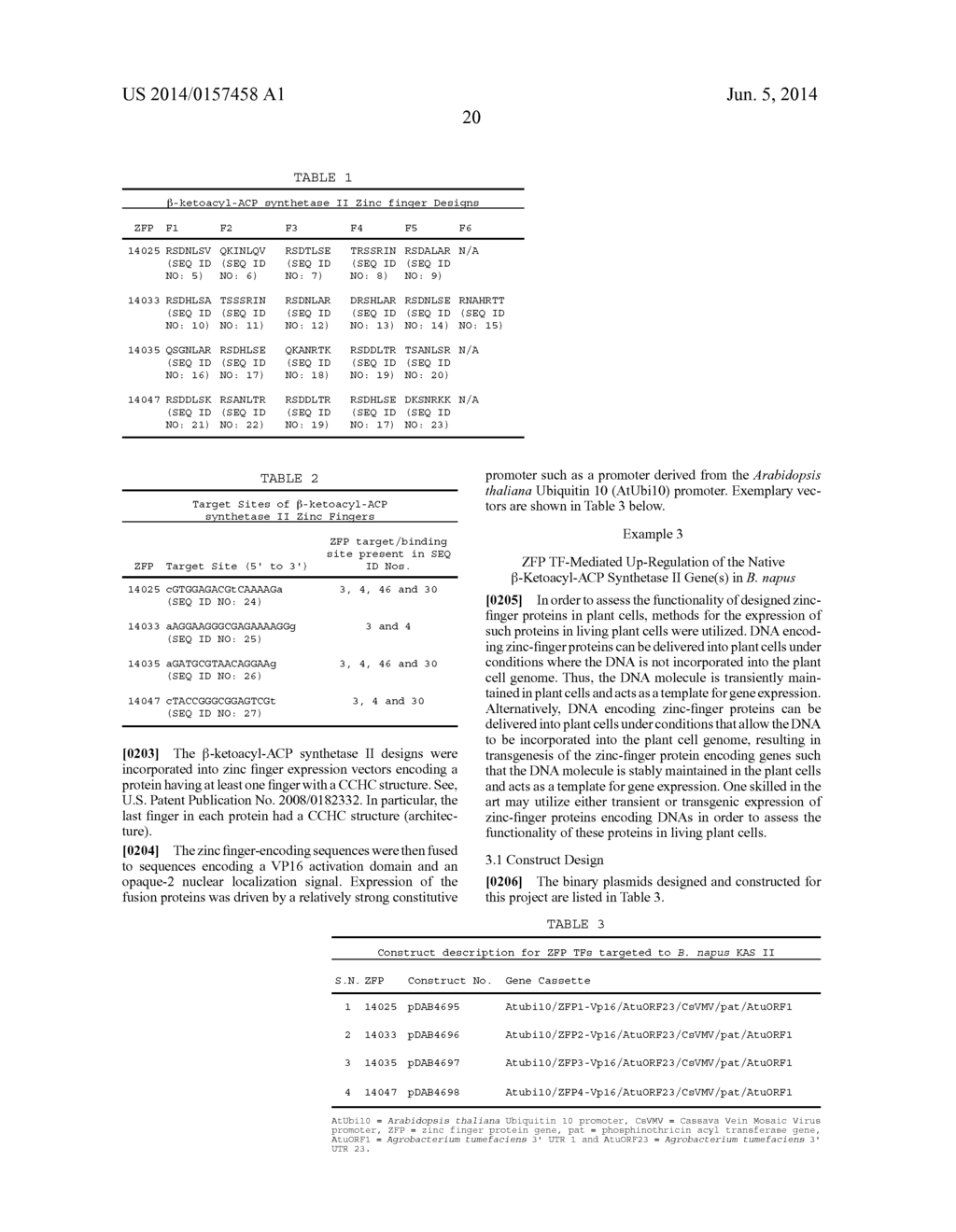 ENGINEERED ZINC FINGER PROTEINS TARGETING PLANT GENES INVOLVED IN FATTY     ACID BIOSYNTHESIS - diagram, schematic, and image 39