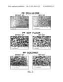 Method of Forming Natural Fiber Polymer Composite diagram and image