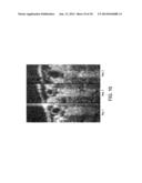 APPARATUS AND METHOD FOR SPACE-DIVISION MULTIPLEXING OPTICAL COHERENCE     TOMOGRAPHY diagram and image