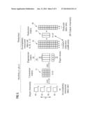 Dynamic Adaptation of a Degree of Signal Compression for MRT Image     Processing diagram and image