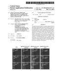 OPTICAL-IMAGING PROBE FOR DETECTING SENTINEL LYMPH NODES WHICH CONTAINS A     COMPOSITE OF POLY-GAMMA-GLUTAMIC ACID AND AN OPTICAL-IMAGING DIE diagram and image