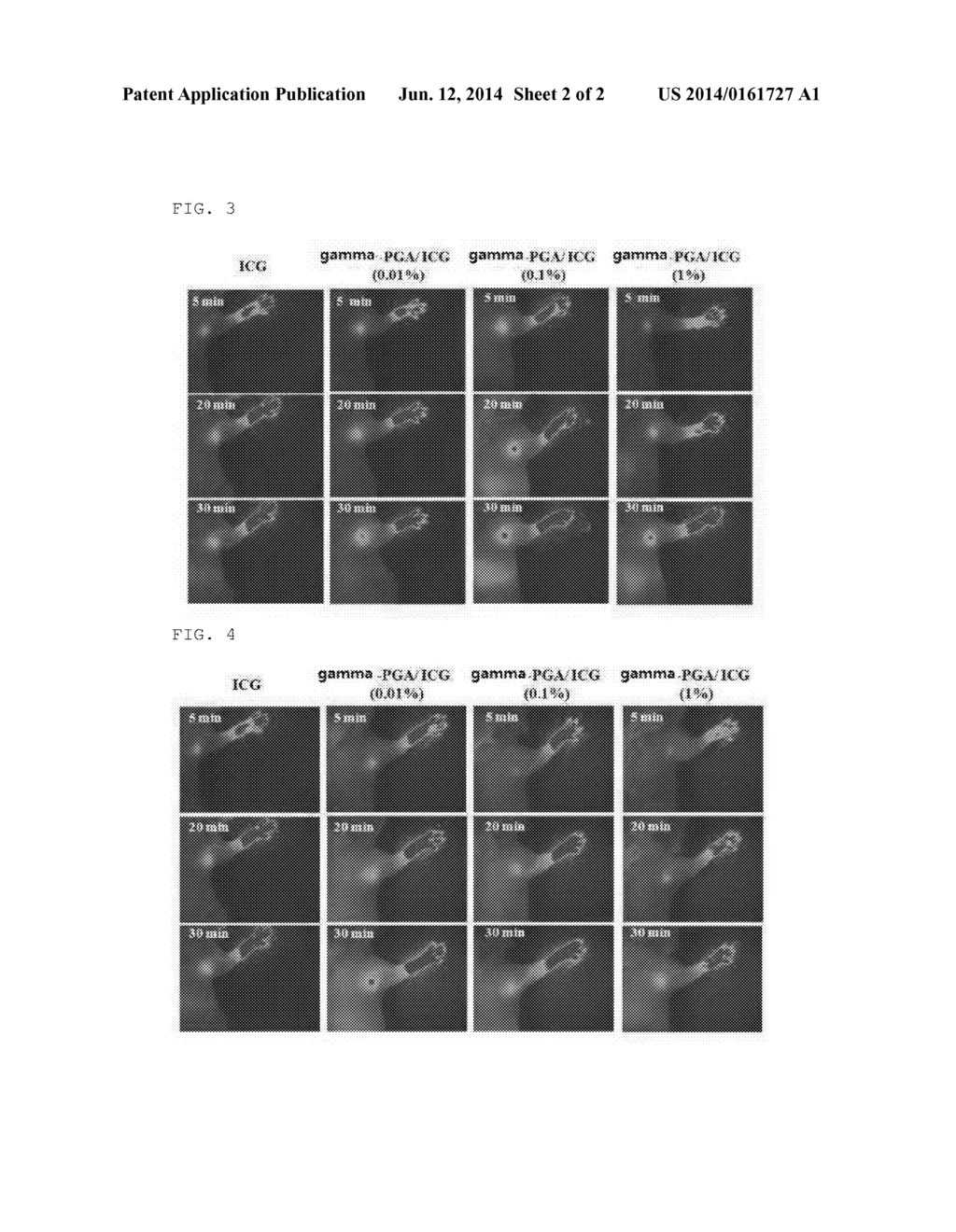 OPTICAL-IMAGING PROBE FOR DETECTING SENTINEL LYMPH NODES WHICH CONTAINS A     COMPOSITE OF POLY-GAMMA-GLUTAMIC ACID AND AN OPTICAL-IMAGING DIE - diagram, schematic, and image 03