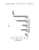 KDR AND VEGF/KDR BINDING PEPTIDES AND THEIR USE IN DIAGNOSIS AND THERAPY diagram and image