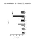 KDR AND VEGF/KDR BINDING PEPTIDES AND THEIR USE IN DIAGNOSIS AND THERAPY diagram and image