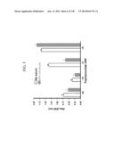 KDR AND VEGF/KDR BINDING PEPTIDES AND THEIR USE IN DIAGNOSIS AND THERAPY diagram and image