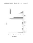 KDR AND VEGF/KDR BINDING PEPTIDES AND THEIR USE IN DIAGNOSIS AND THERAPY diagram and image