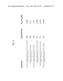 KDR AND VEGF/KDR BINDING PEPTIDES AND THEIR USE IN DIAGNOSIS AND THERAPY diagram and image