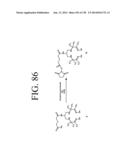 KDR AND VEGF/KDR BINDING PEPTIDES AND THEIR USE IN DIAGNOSIS AND THERAPY diagram and image