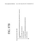 KDR AND VEGF/KDR BINDING PEPTIDES AND THEIR USE IN DIAGNOSIS AND THERAPY diagram and image