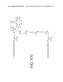 KDR AND VEGF/KDR BINDING PEPTIDES AND THEIR USE IN DIAGNOSIS AND THERAPY diagram and image