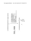 KDR AND VEGF/KDR BINDING PEPTIDES AND THEIR USE IN DIAGNOSIS AND THERAPY diagram and image