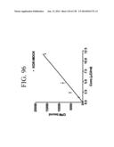 KDR AND VEGF/KDR BINDING PEPTIDES AND THEIR USE IN DIAGNOSIS AND THERAPY diagram and image