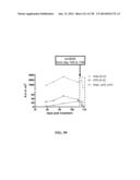 KDR AND VEGF/KDR BINDING PEPTIDES AND THEIR USE IN DIAGNOSIS AND THERAPY diagram and image