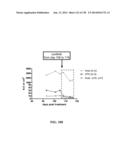 KDR AND VEGF/KDR BINDING PEPTIDES AND THEIR USE IN DIAGNOSIS AND THERAPY diagram and image