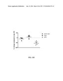 KDR AND VEGF/KDR BINDING PEPTIDES AND THEIR USE IN DIAGNOSIS AND THERAPY diagram and image