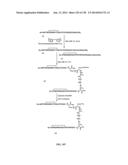 KDR AND VEGF/KDR BINDING PEPTIDES AND THEIR USE IN DIAGNOSIS AND THERAPY diagram and image