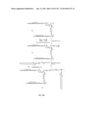 KDR AND VEGF/KDR BINDING PEPTIDES AND THEIR USE IN DIAGNOSIS AND THERAPY diagram and image