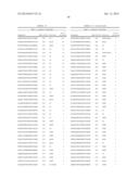 KDR AND VEGF/KDR BINDING PEPTIDES AND THEIR USE IN DIAGNOSIS AND THERAPY diagram and image