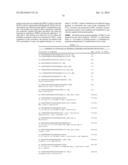 KDR AND VEGF/KDR BINDING PEPTIDES AND THEIR USE IN DIAGNOSIS AND THERAPY diagram and image