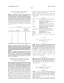 KDR AND VEGF/KDR BINDING PEPTIDES AND THEIR USE IN DIAGNOSIS AND THERAPY diagram and image