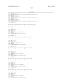 KDR AND VEGF/KDR BINDING PEPTIDES AND THEIR USE IN DIAGNOSIS AND THERAPY diagram and image