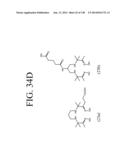 KDR AND VEGF/KDR BINDING PEPTIDES AND THEIR USE IN DIAGNOSIS AND THERAPY diagram and image