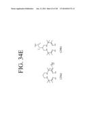 KDR AND VEGF/KDR BINDING PEPTIDES AND THEIR USE IN DIAGNOSIS AND THERAPY diagram and image