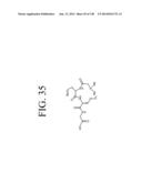 KDR AND VEGF/KDR BINDING PEPTIDES AND THEIR USE IN DIAGNOSIS AND THERAPY diagram and image