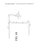 KDR AND VEGF/KDR BINDING PEPTIDES AND THEIR USE IN DIAGNOSIS AND THERAPY diagram and image