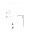 KDR AND VEGF/KDR BINDING PEPTIDES AND THEIR USE IN DIAGNOSIS AND THERAPY diagram and image