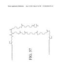 KDR AND VEGF/KDR BINDING PEPTIDES AND THEIR USE IN DIAGNOSIS AND THERAPY diagram and image