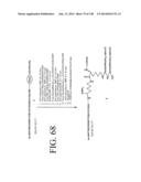 KDR AND VEGF/KDR BINDING PEPTIDES AND THEIR USE IN DIAGNOSIS AND THERAPY diagram and image