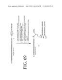 KDR AND VEGF/KDR BINDING PEPTIDES AND THEIR USE IN DIAGNOSIS AND THERAPY diagram and image