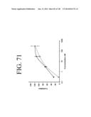 KDR AND VEGF/KDR BINDING PEPTIDES AND THEIR USE IN DIAGNOSIS AND THERAPY diagram and image