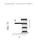 KDR AND VEGF/KDR BINDING PEPTIDES AND THEIR USE IN DIAGNOSIS AND THERAPY diagram and image