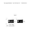 METHODS FOR TREATING INFLAMMATORY AUTOIMMUNE DISORDERS diagram and image