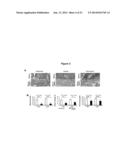 METHODS FOR TREATING INFLAMMATORY AUTOIMMUNE DISORDERS diagram and image