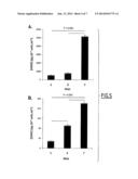 SILYLATED BIOMOLECULE-BASED HYDROGEL FOR CULTURING CARDIOMYOCYTES AND STEM     CELLS, AND USE OF THE HYDROGEL THEREOF FOR TREATING HEART FAILURE diagram and image