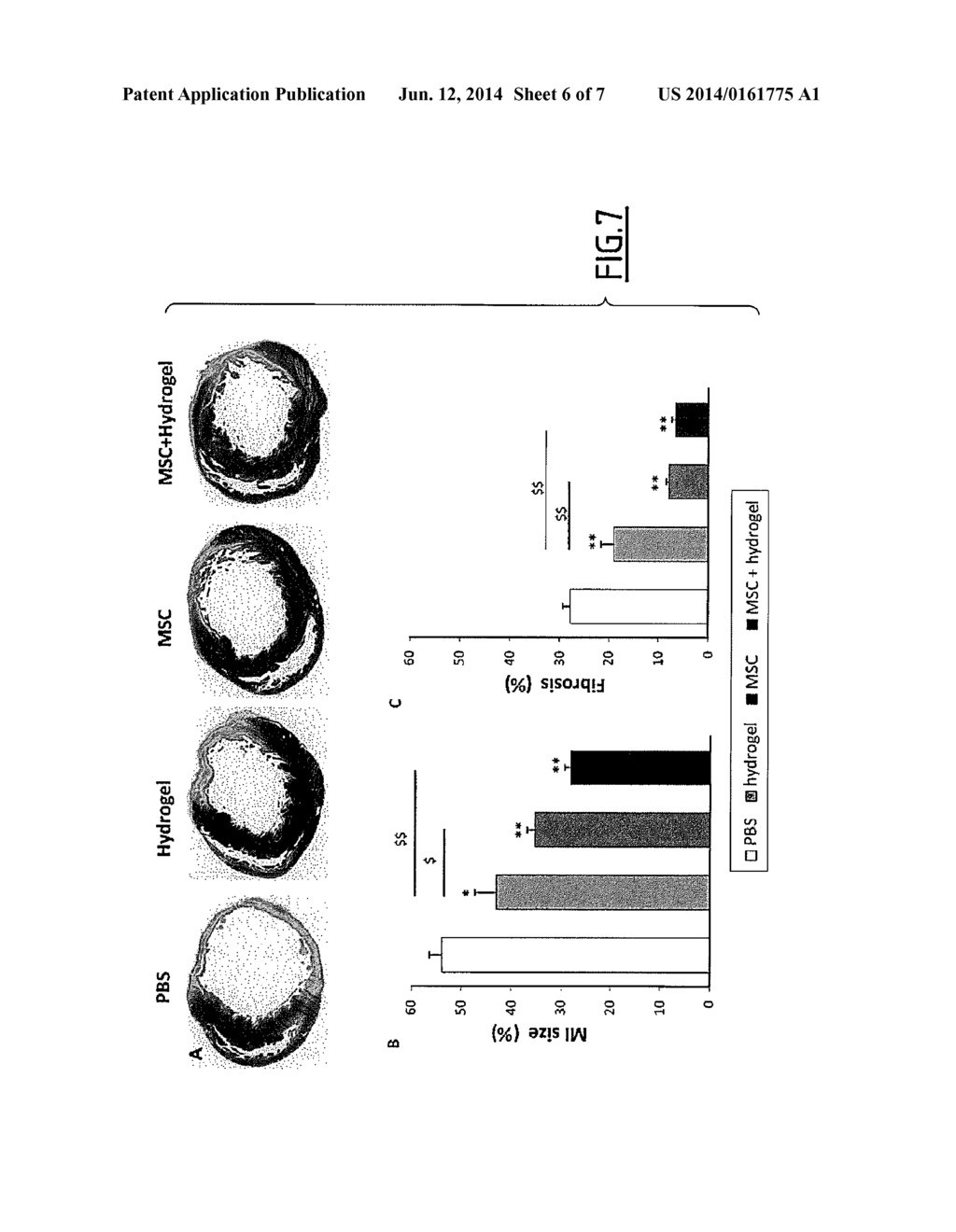 SILYLATED BIOMOLECULE-BASED HYDROGEL FOR CULTURING CARDIOMYOCYTES AND STEM     CELLS, AND USE OF THE HYDROGEL THEREOF FOR TREATING HEART FAILURE - diagram, schematic, and image 07