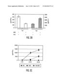 MESENCHYMAL STEM CELLS AND USES THEREFOR diagram and image