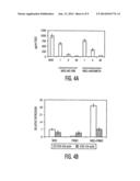 MESENCHYMAL STEM CELLS AND USES THEREFOR diagram and image