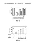 MESENCHYMAL STEM CELLS AND USES THEREFOR diagram and image